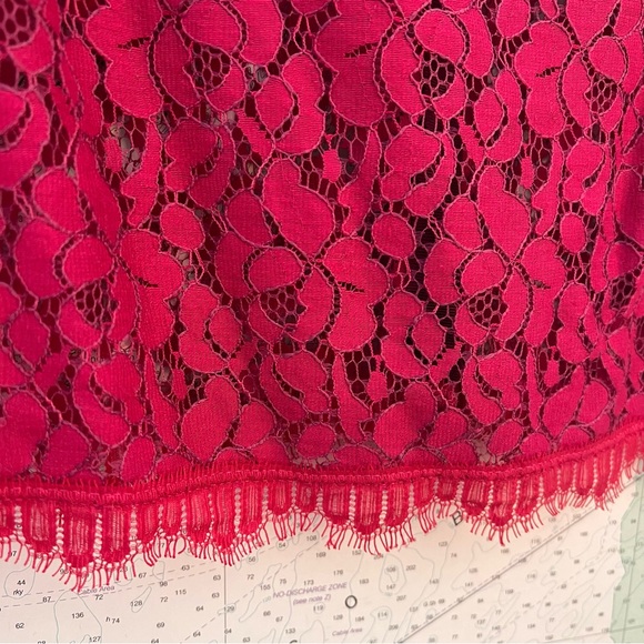 NWT! Anthropologie Weston Wear Pink Sheer Lace 3/4 Sleeve Blouse Size M - Picture 9 of 13